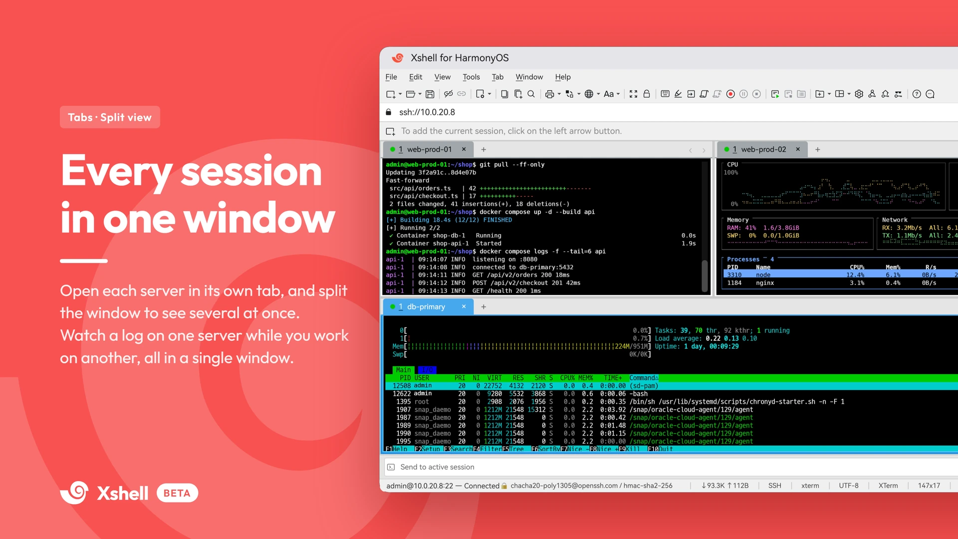 Every session in one window — tabs and a split view